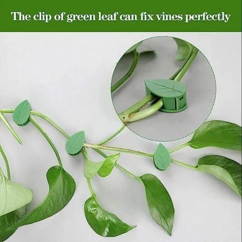 30 Pc Climbing Plant Fixture Clip Wall Self Adhesive Tied Vine Buckle Cable Hook